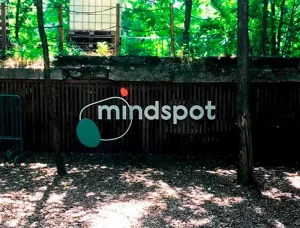 Вывеска из ПВХ mindspot